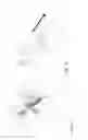 Fig. 08 - Apparatus for changing between a two-point sling state and a one-point sling state