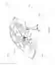 Fig. 44 - Registration of three-dimensional coordinates measured on interior and exterior portions of an object