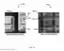 Fig. 15 - Devices and methods for infrared reference pixels