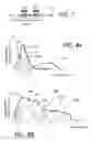 Fig. 06 - Spectroscopic assembly and method