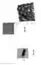 Fig. 05 - Semiconductor manufactured nano-structures for microbe or virus trapping or destruction