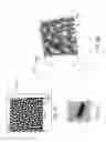 Fig. 05 - Semiconductor manufactured nano-structures for microbe or virus trapping or destruction