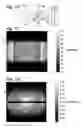 Fig. 08 - Detection and signal processing system for particle assays