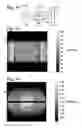 Fig. 08 - Optical detection system for particles