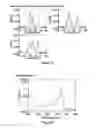 Fig. 05 - Molecular detection system
