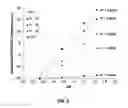 Fig. 06 - Fluorescent nanosensors and uses thereof