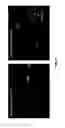 Fig. 10 - Fluorescent nanosensors and uses thereof