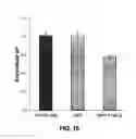 Fig. 11 - Fluorescent nanosensors and uses thereof