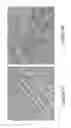 Fig. 05 - System and method for controlling depth of imaging in tissues using fluorescence microscopy under ultraviolet excitation following staining with fluorescing agents
