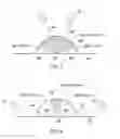 Fig. 03 - APPARATUS FOR AND METHOD OF INSPECTING SURFACE TOPOGRAPHY OF A MOVING OBJECT
