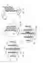 Fig. 05 - NUCLEIC ACID INSPECTION APPARATUS