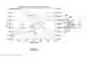 Fig. 07 - Determination of fertility potential from the oxidation-reduction potential of a biological sample