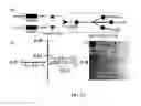 Fig. 02 - Constriction-Expansion Blood Plasma Separation