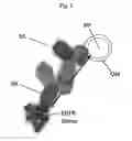 Fig. 03 - Specific protein marker and method for identifying the statistic distribution of protein stoichiometry