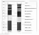 Fig. 01 - Method for diagnostics, treatment and prevention of Parkinson's disease