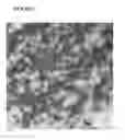 Fig. 03 - Methods for evaluating viral clearance from a process solution employing mock viral particles