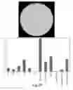 Fig. 14 - Process and machine for automated agglutination assays with image automated evaluation