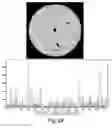 Fig. 15 - Process and machine for automated agglutination assays with image automated evaluation