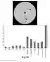 Fig. 16 - Process and machine for automated agglutination assays with image automated evaluation