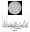 Fig. 17 - Process and machine for automated agglutination assays with image automated evaluation
