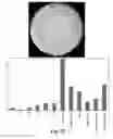 Fig. 18 - Process and machine for automated agglutination assays with image automated evaluation