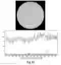 Fig. 19 - Process and machine for automated agglutination assays with image automated evaluation
