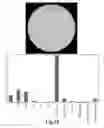 Fig. 20 - Process and machine for automated agglutination assays with image automated evaluation