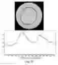 Fig. 21 - Process and machine for automated agglutination assays with image automated evaluation