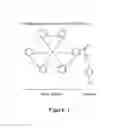 Fig. 02 - Methods and compositions for amplified electrochemiluminescence detection