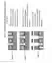 Fig. 12 - Methods and compositions for amplified electrochemiluminescence detection