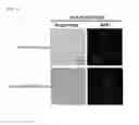 Fig. 04 - Analysis method of molecular interactions on protein nanoparticles using flow cytometry