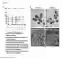 Fig. 08 - Analysis method of molecular interactions on protein nanoparticles using flow cytometry