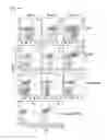 Fig. 16 - Analysis method of molecular interactions on protein nanoparticles using flow cytometry