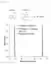 Fig. 14 - Compositions and methods for detecting protein sulfenylation