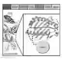 Fig. 01 - Ligand discovery for T cell receptors