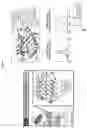 Fig. 02 - Ligand discovery for T cell receptors