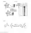 Fig. 142 - Compositions and methods for detecting S-nitrosylation and S-sulfinylation