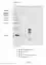 Fig. 05 - Antibodies and methods for the detection of cell death