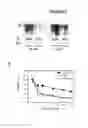 Fig. 04 - METHODS OF DIAGNOSING ALS
