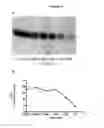 Fig. 09 - METHODS OF DIAGNOSING ALS