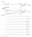 Fig. 05 - Isotopically-labeled cholesteryl ester internal standard composition and kit