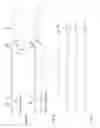 Fig. 07 - Isotopically-labeled cholesteryl ester internal standard composition and kit