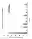 Fig. 12 - Isotopically-labeled cholesteryl ester internal standard composition and kit