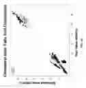 Fig. 19 - Isotopically-labeled cholesteryl ester internal standard composition and kit