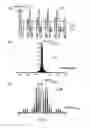Fig. 07 - Magnetic resonance imaging device and method for adjusting waveform of gradient magnetic field and measuring echo signals by applying the adjusted waveform to a pulse sequence