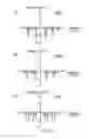 Fig. 13 - Magnetic resonance imaging device and method for adjusting waveform of gradient magnetic field and measuring echo signals by applying the adjusted waveform to a pulse sequence