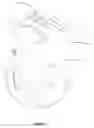 Fig. 02 - Cerebrospinal diffusion phantom
