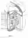 Fig. 05 - Cerebrospinal diffusion phantom