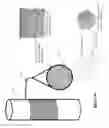 Fig. 13 - Cerebrospinal diffusion phantom