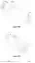 Fig. 17 - Cerebrospinal diffusion phantom